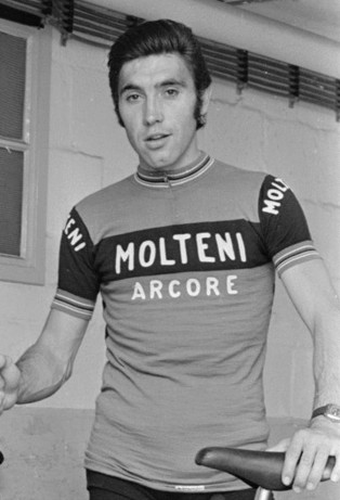 Bicihome Merckx
